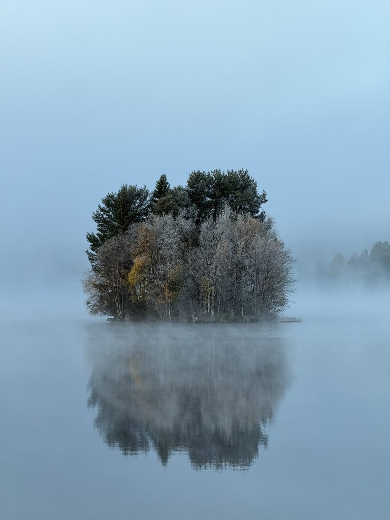 little island with trees in the mist in Sweden