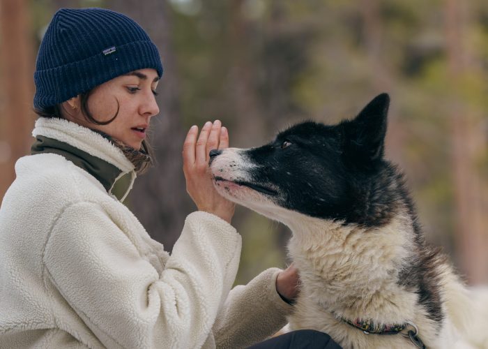 kuscheln mit einem Grönlandhund auf einer Hundeschlitten Husky Tour in Schweden