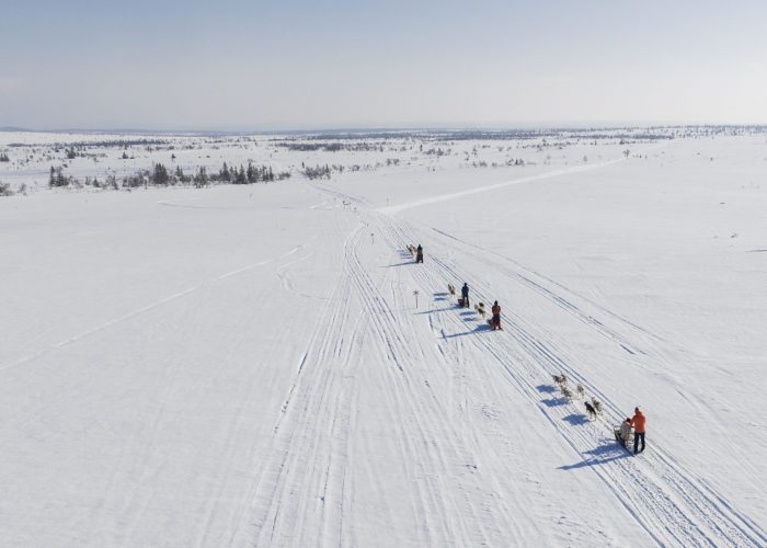drohnenaufnahme Grönlandhunde ziehen einen Hundeschlitten bei einer Husky Tour in Jämtland, Schweden