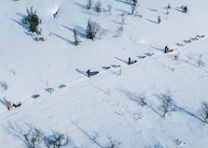 drohnenaufnahme Grönlandhunde ziehen einen Hundeschlitten bei einer Husky Tour in Jämtland, Schweden