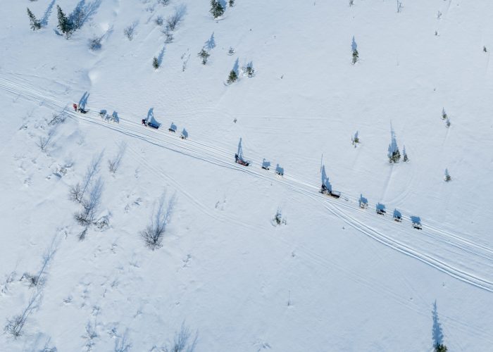 drohnenaufnahme Grönlandhunde ziehen einen Hundeschlitten bei einer Husky Tour in Jämtland, Schweden