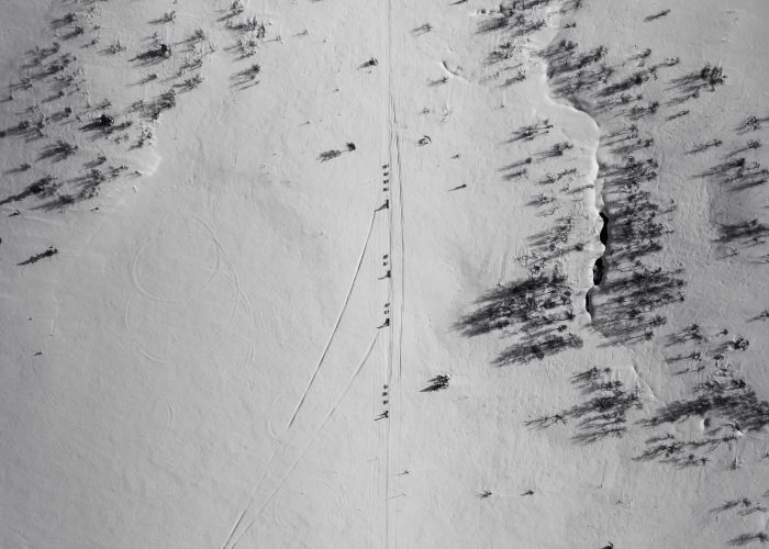 Grönlandhunde ziehen einen Hundeschlitten bei einer Husky Tour in Jämtland, Schweden drohnenaufnahme